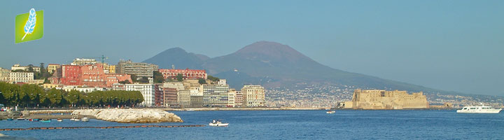 Napoli vesuvio e castel dell'ovo